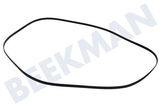 Hilton Secadora Correa poly-V 1970 PH H7