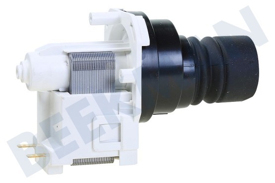 Progress Lavavajillas Bomba Drenaje, imán que incluye boquilla de goma y válvula antirretorno.