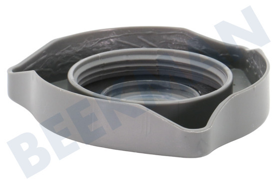 Krting Lavavajillas gorra