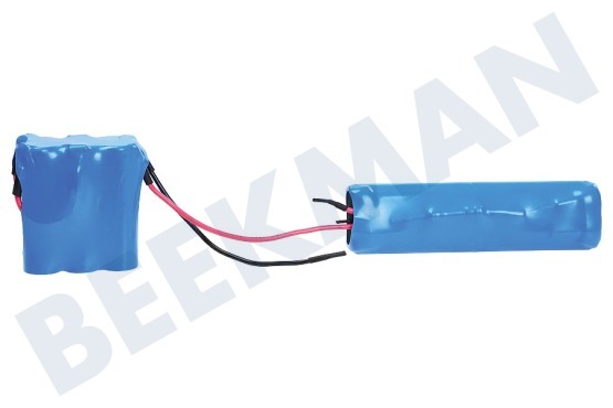 AEG Aspiradora Batería 12 voltios, 1300 mAh