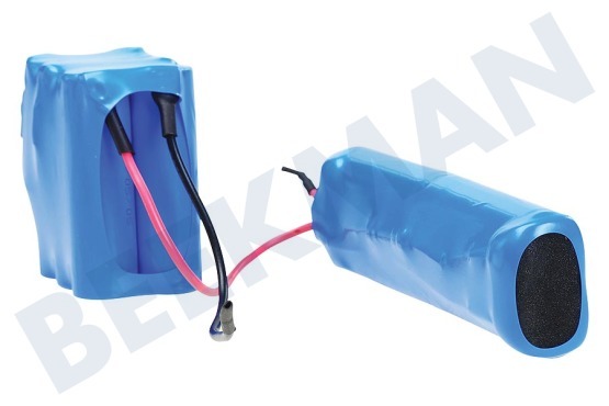 AEG Aspiradora Batería 12 voltios, 1300 mAh