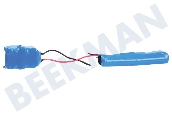 AEG Aspiradora Batería 12 voltios, 1300 mAh