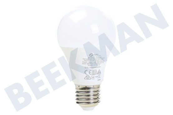 KlikAanKlikUit  ZLED-2209 Lámpara E27 regulable con llama blanca