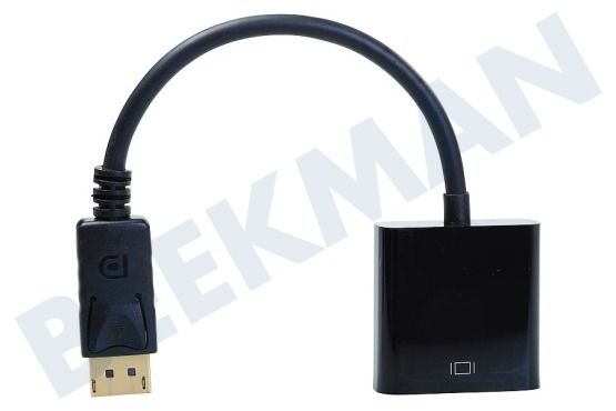 Easyfiks  Displayport al cable adaptador VGA 20 cm