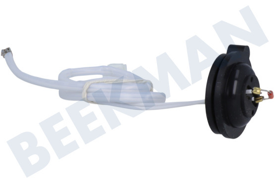 Juno Placa Sensador termico