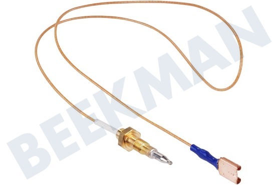 Hotpoint Cocina 52986, C00052986 Cable termo de vitrocerámica