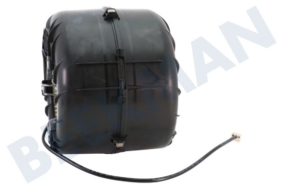 Constructa Campana extractora 11022541 capó del motor