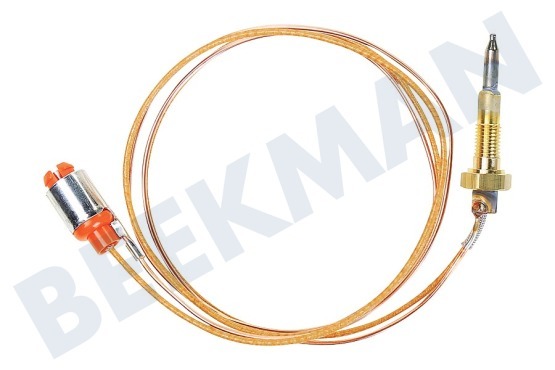 Pitsos Placa 416742, 00416742 Cable termo 550 mm