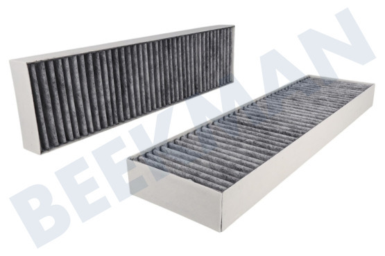 Beko Placa 165265001 Filtro Filtro de carbón, 2 piezas