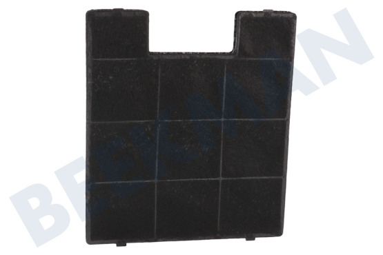 Krting Campana extractora ACF005 carbón