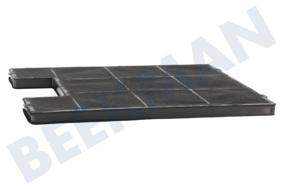 Krting Campana extractora ACF005 carbón