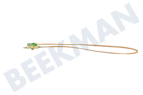 Candy Placa Par termoeléctrico