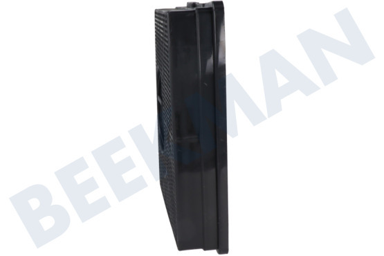 Elica Campana extractora Filtro Carbono 205x43x213mm