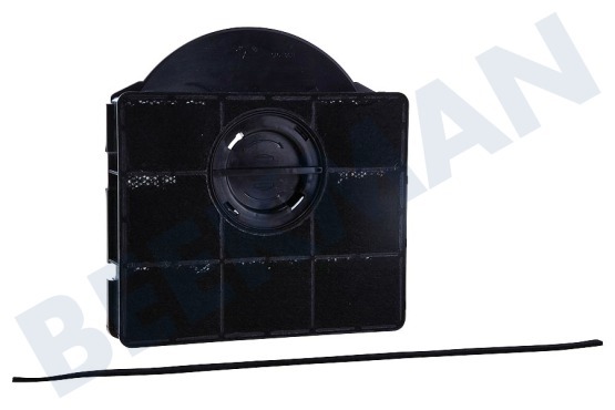 Pelgrim Campana extractora Filtro Carbono KF22/P01