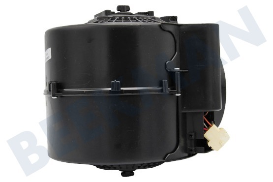 Etna Campana extractora motor