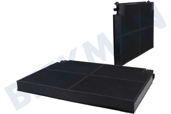 Juno Campana extractora Filtro Filtro de carbón