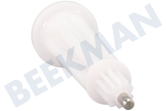 Kenwood Máquina de cocina Propulsión Del procesador de alimentos blanco