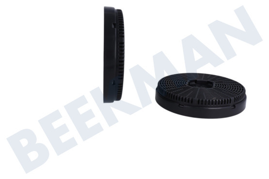 Everglades  Filtro Filtro de carbón, 2 piezas