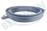 Siemens Lavadora manguito