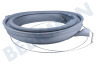 Siemens Lavadora manguito