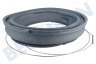 Profilo Lavadora 20007273 Guarnición portilla Con pico