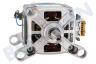 Gorenje Lavadora motor