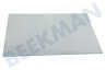 Bosch Refrigerador 743202, 00743202 Tabla de estante Plato de vidrio