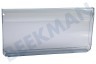 Siemens Refrigerador 742345, 00742345 Panel frontal Transparente