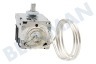Siemens Refrigerador 170219, 00170219 Termostato -6,5 -23