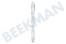 Osram  Lampara halogena Halolina ESS R7s 114mm