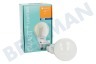 Ledvance  Filamento Smart + Bluetooth Classic CLA67 100 11 Watt, E27