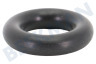 Dewalt  O-Ring