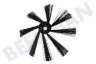 Electrolux Aspiradora cepillo lateral