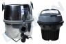 Nilfisk  GM80 Nilfisk aspiradora Gray