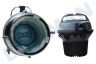 Nilfisk  GM80 Nilfisk aspiradora Gray