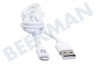 Apple  AC3011 Cable USB a Lightning, 1 metro