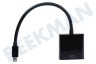 Cable Mini Displayport a VGA Adaptador 20 cm