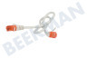 Cable de red UTP CAT6 Blanco, 0,5 metros, 2x RJ45 Macho