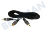 Jack estéreo de 3,5 mm macho - 2x RCA RCA macho, 5,0 m