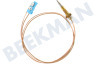 Cable termo 550 mm