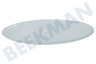 Upo Horno-Microondas Plato giratorio Plato giratorio, 24,5 cm